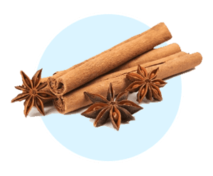 Cinnamon bark — blood sugar support and irisin hormone booster in AquaBurn