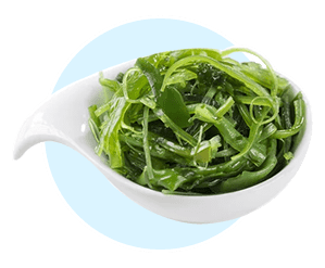 Fucoxanthin from brown seaweed — natural fat burning carotenoid in AquaBurn