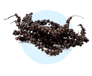 Piperine from black pepper — nutrient absorption and fat burning enhancer in AquaBurn