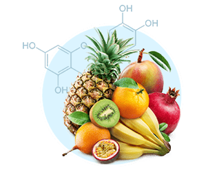 Quercetin flavonoid — irisin hormone booster for fat metabolism in AquaBurn