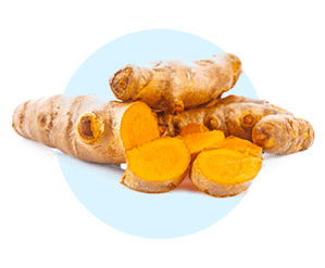 Turmeric golden spice — 4000 year old anti-inflammatory and thermogenesis support in AquaBurn