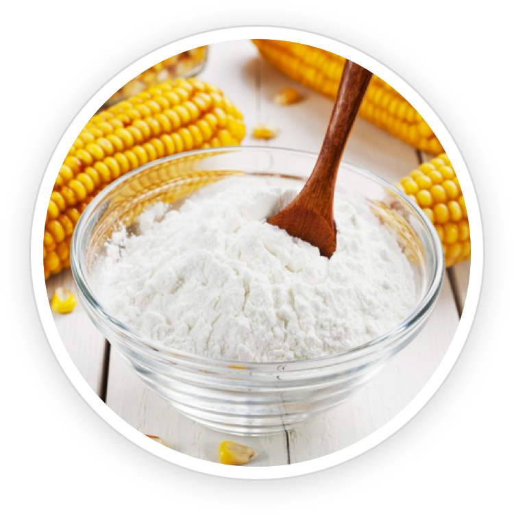 Fibersol 2 in Fast Lean Pro