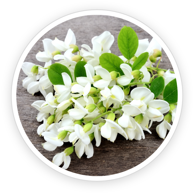 Sukre in Fast Lean Pro