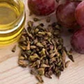 Grape Seed Extract (Vitis vinifera) — antioxidant ingredient in Meta Melt