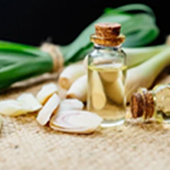 Lemongrass Oil Mycotraxin Ingredient