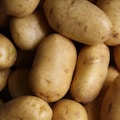 RS2 Resistant Starch - Potato
