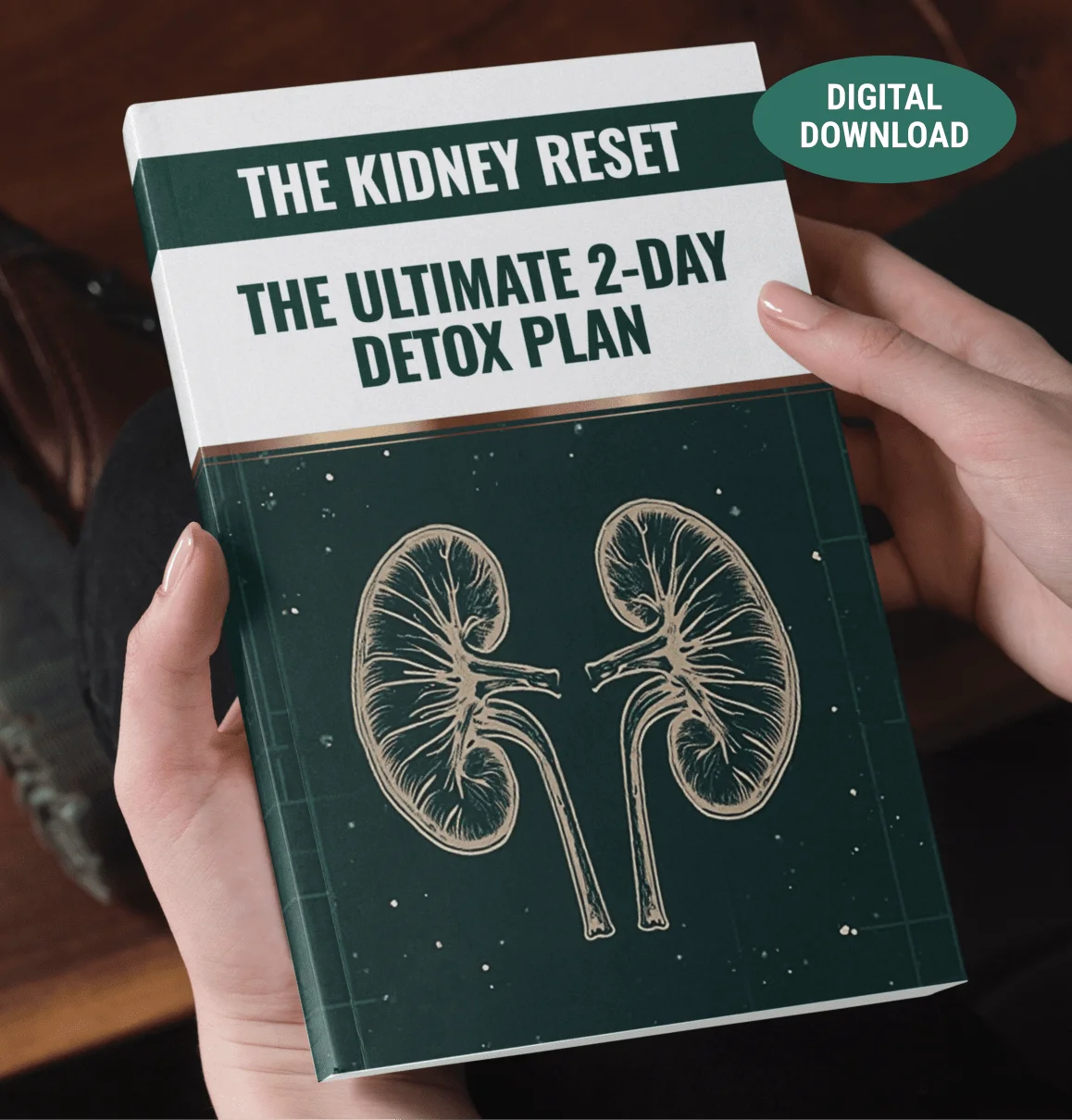 ViriFlow Bonus 1 - The Kidney Reset 2-Day Detox Guide